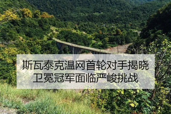 si-wa-tai-ke-wen-wang-shou-lun-dui-shou-jie-xiao-wei-mian-guan-jun-mian-lin-yan-jun-tiao-zhan-2-237.jpg