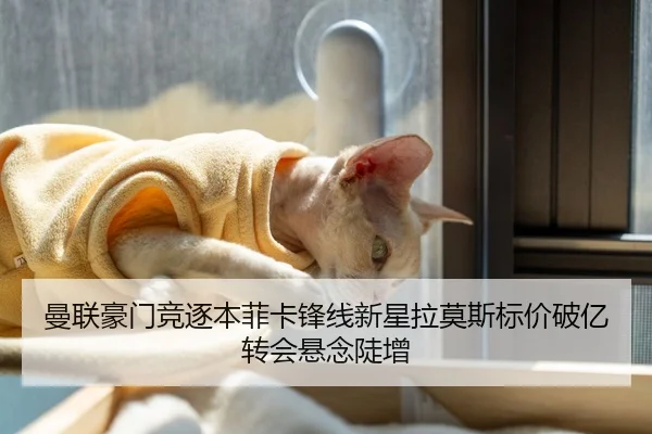 曼联豪门竞逐本菲卡锋线新星拉莫斯标价破亿转会悬念陡增